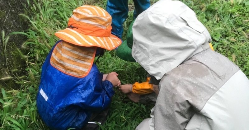 雨の日の森の中から学ぶこと