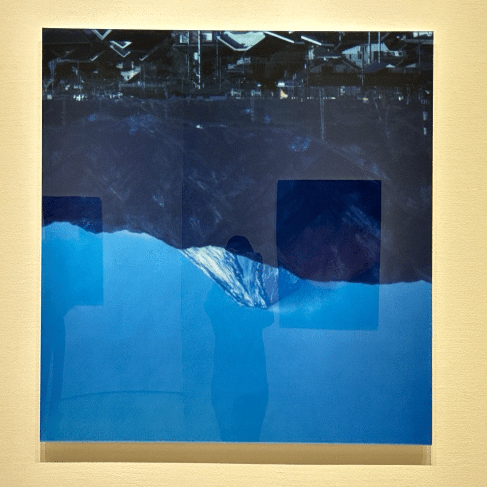 ピンぼけ？？ ホンマタカシを見た！｜ヨーコJAPAN