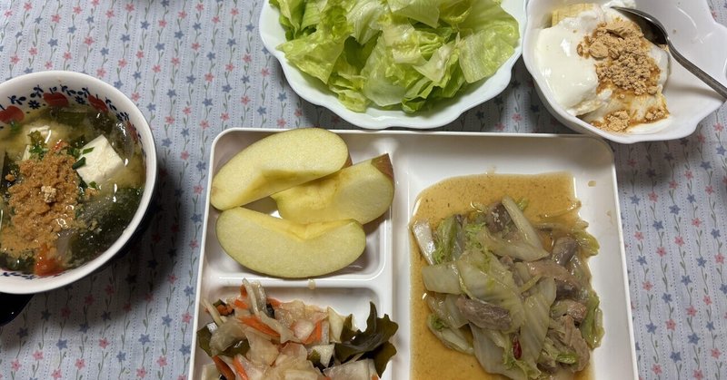 【ダイエット】旅行✈️から帰ってきたら、たくさん食べる胃になってしまっていた？和食で浄化していますが・・・。