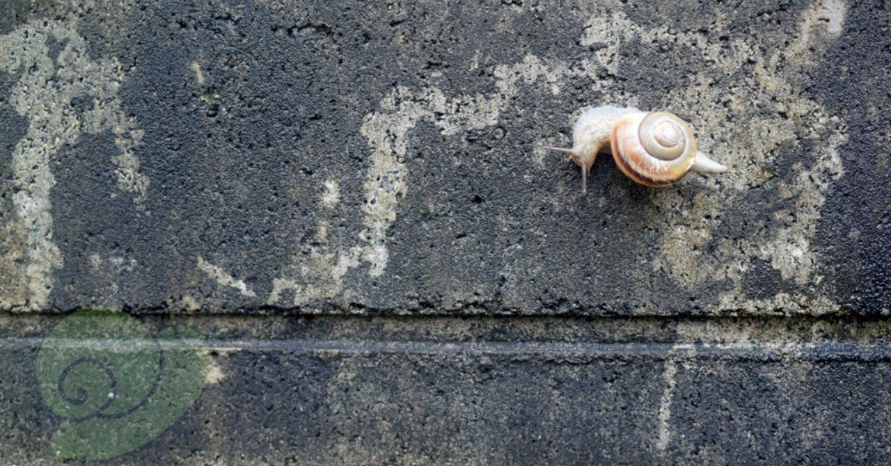 かたつむり的世界観 第4回 かたつむりと掃除機 マイマイ計画 野島智司 Note かたつむり的世界観 第4回 かたつむりと掃除機 マイマイ計画 野島智司 Note