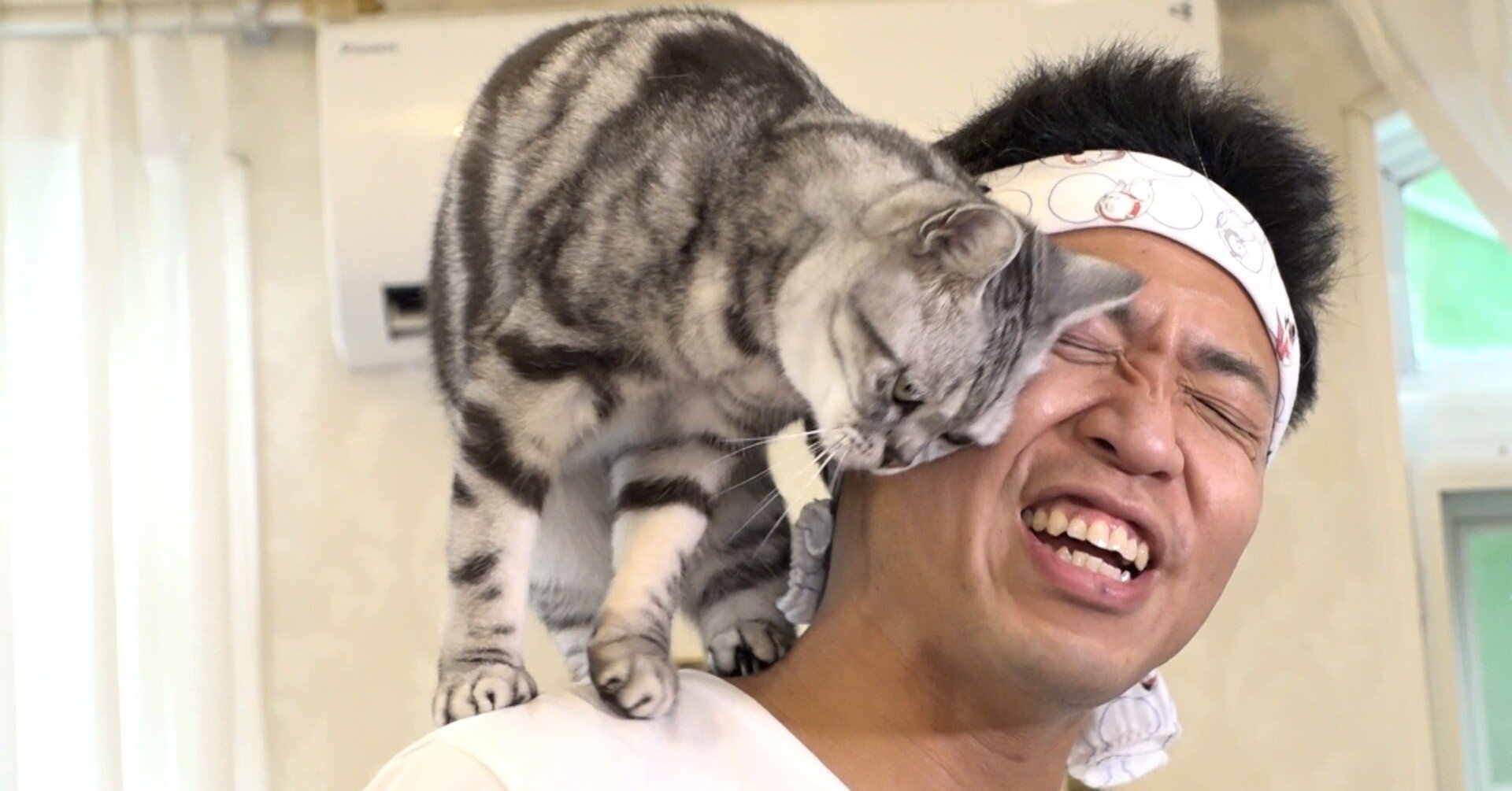 ネコ好きさん 3e3ff34a6509a55d8be58f6e6abfa7