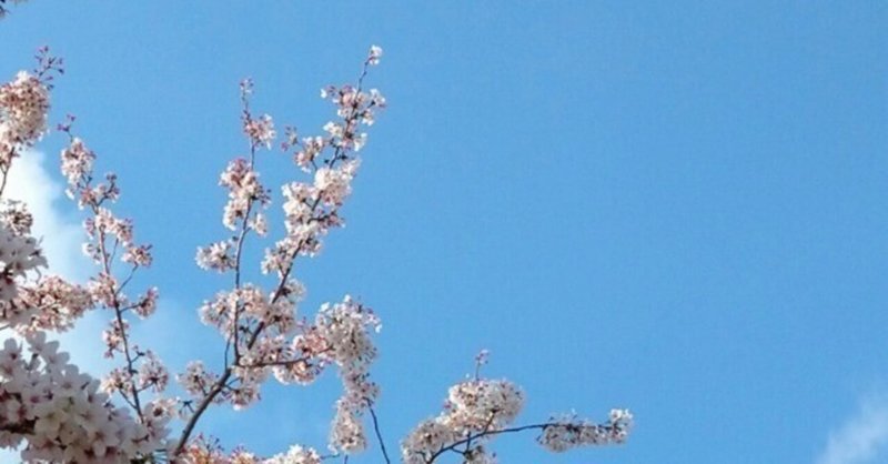 《現代詩》桜