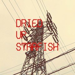 DRIED UP STARFISH_demo