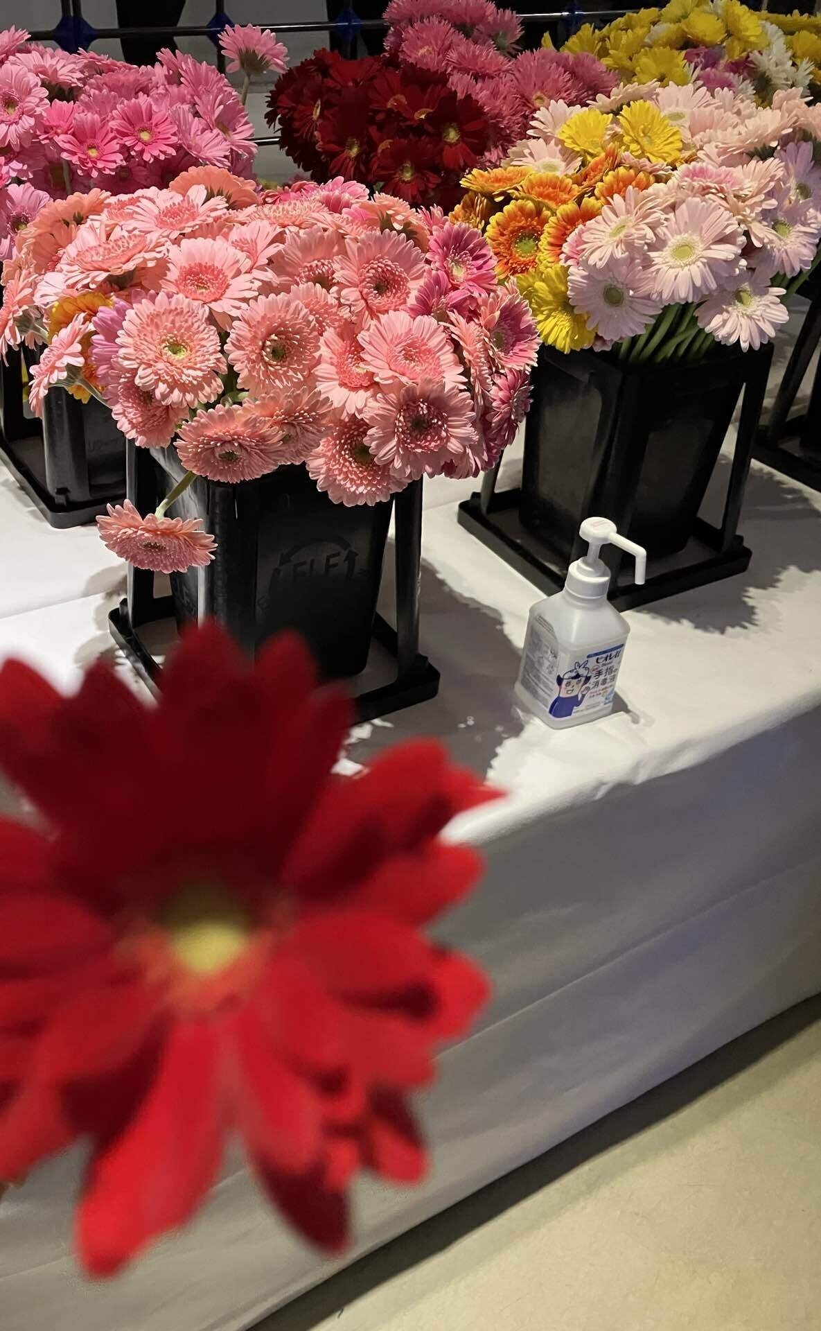 チバユウスケ　thanksTシャツ　Mサイズ献花の会 チバユウスケ thanksTシャツ Mサイズ献花の会 - メルカリ