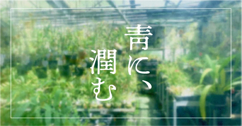 靑に、潤む_2024｜puwako