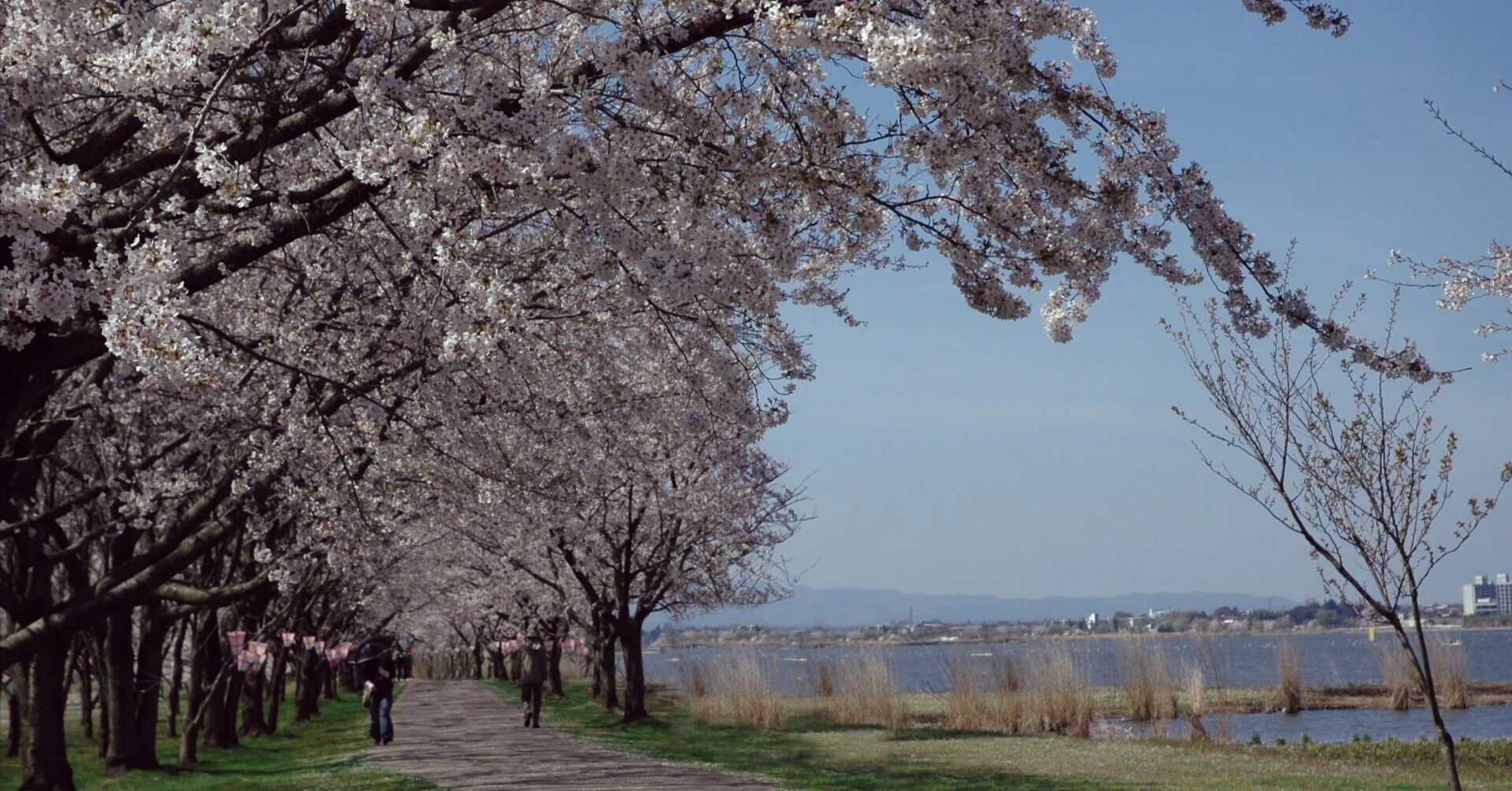 石川 県 小松 市