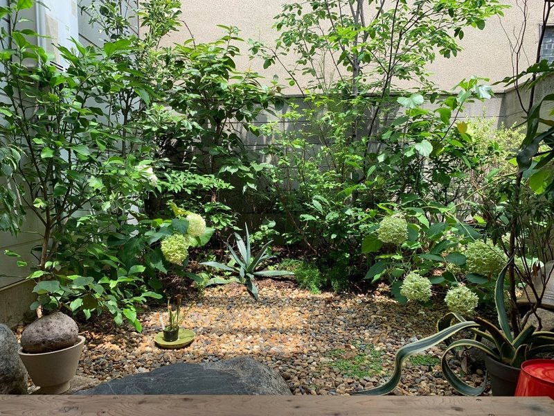 ベリーって名前のつく植物 平屋私庭日記 22 園園 中山智憲 庭師 Note ベリーって名前のつく植物 平屋私庭日記 22 園園 中山智憲 庭師 Note