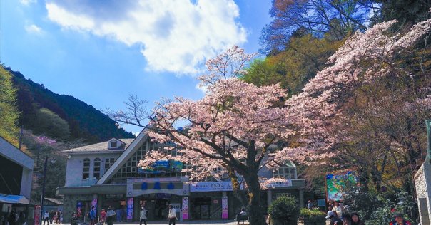 Amazon.co.jp: 生活景―身近な景観価値の発見とまちづくり : 後藤