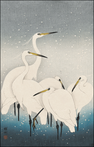 折々の絵はがき(55)｜京都便利堂