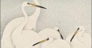 コロタイプ絵はがき〈季趣五題 ふゆこもり 雪に白鷺〉小原古邨 BC-053