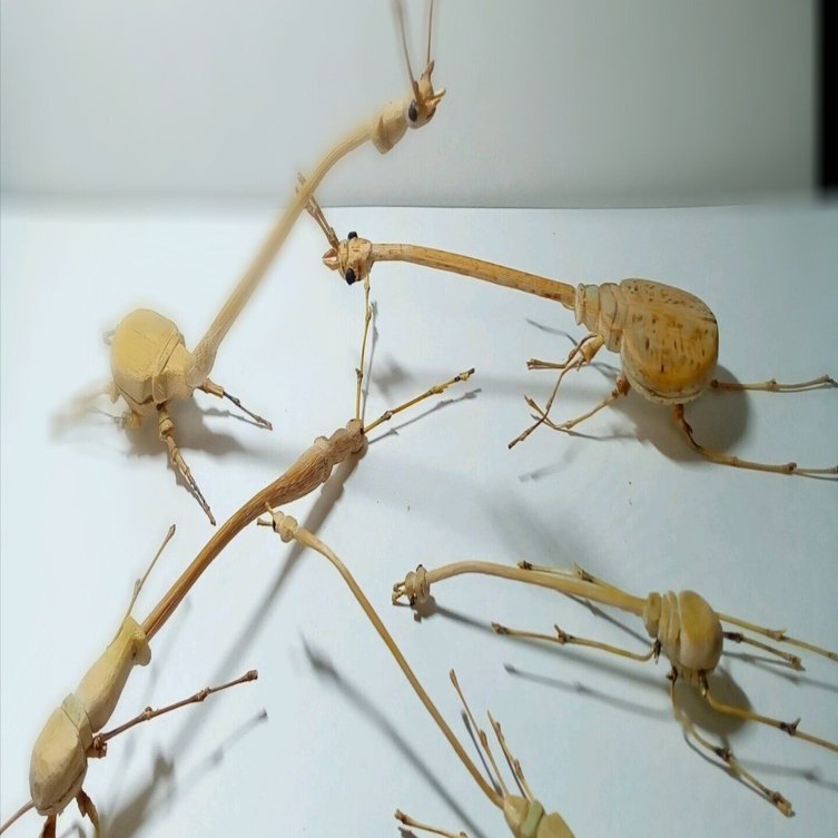 竹細工、虫籠に入ったカマキリ（竹製） 竹細工、虫籠に入ったカマキリ（竹製）