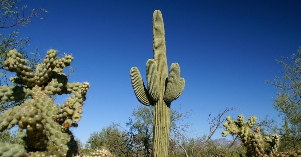 アメリカで出会った100の光景 No.31（大自然の絶景）人生を重ねてみ