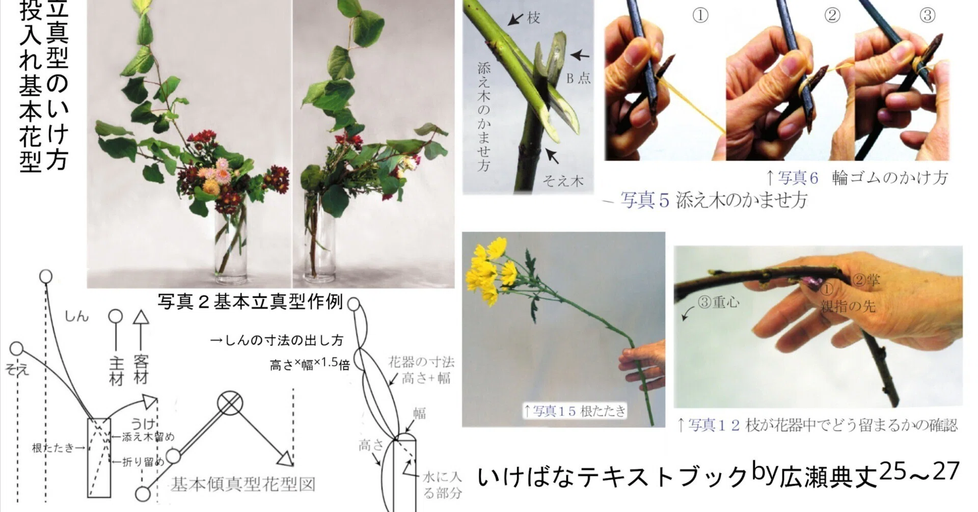 2023-10-29(日)17時～Onlineいけばな 「投入基本立真型のいけ方 