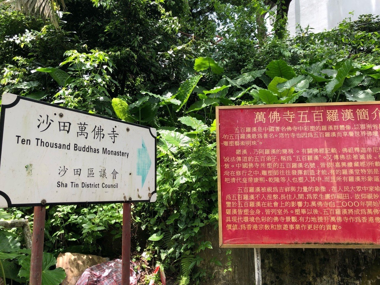 香港のカオスな観光スポットを訪ねてみた 〜沙田萬佛寺｜toshiko