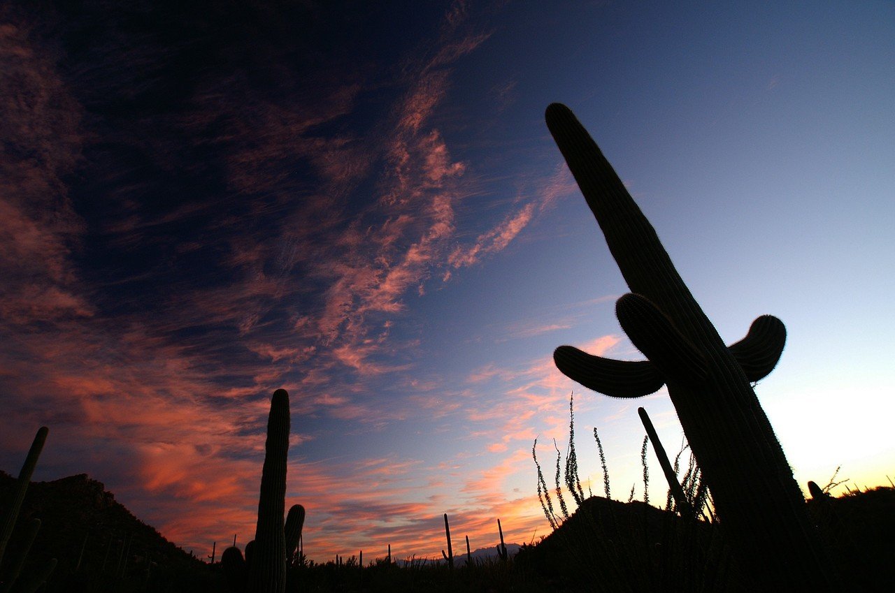 アメリカで出会った100の光景 No.31（大自然の絶景）人生を重ねてみ