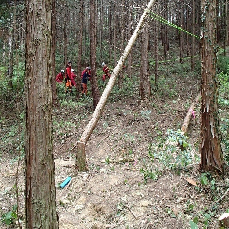 ノコギリで木を切り倒せるのは そのしくみを理解して再現できるから 津和野ヤモリーズ Note