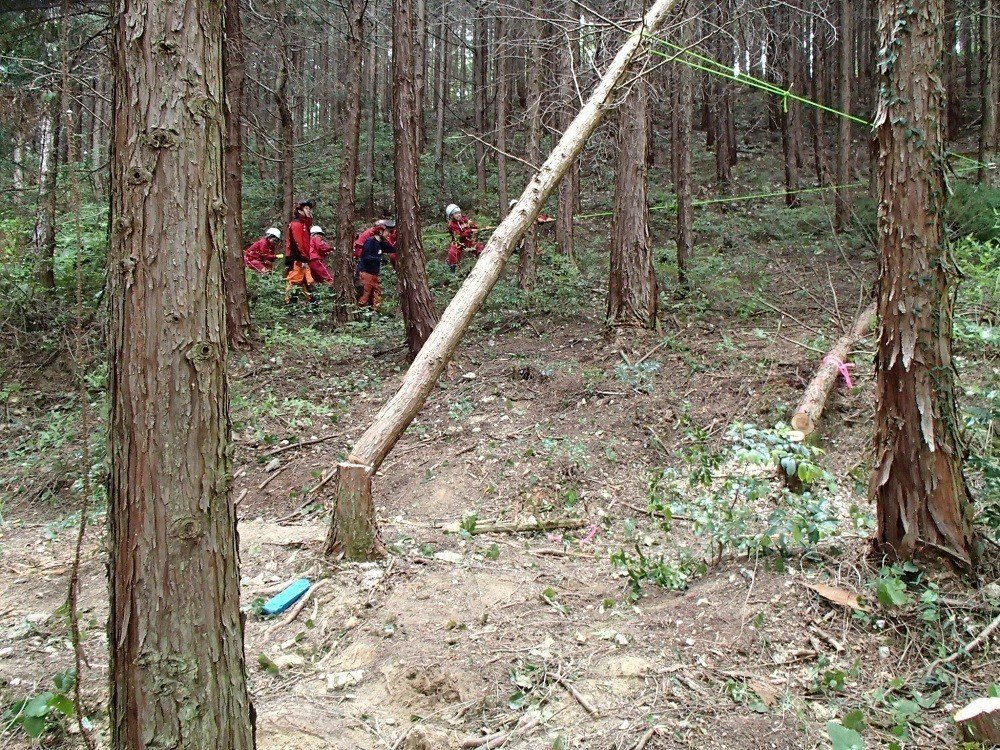 ノコギリで木を切り倒せるのは そのしくみを理解して再現できるから 津和野ヤモリーズ Note ノコギリで木を切り倒せるのは そのしくみを理解して再現できるから 津和野ヤモリーズ Note