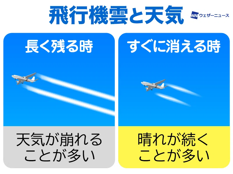 飛行機雲(ひこうきぐも)への思いさまざま｜forestchild