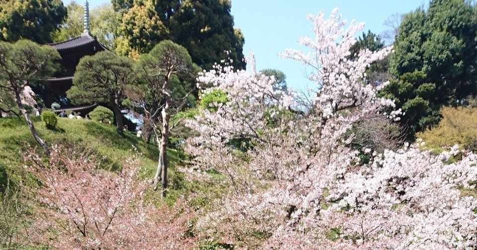 夫婦それぞれの結婚式体験談 両家顔合わせ当日編 新郎視点 Telife Note