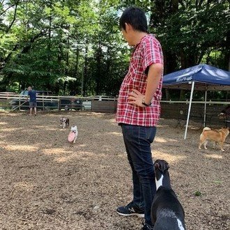 高校野球 きょうた Note