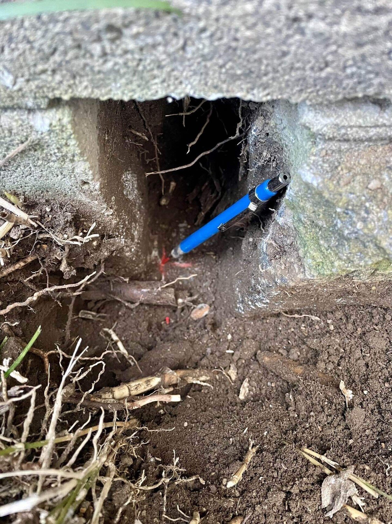 初心者向け】補助者一年生の君へ【土地家屋調査士TIPS】｜矢嶋宏大