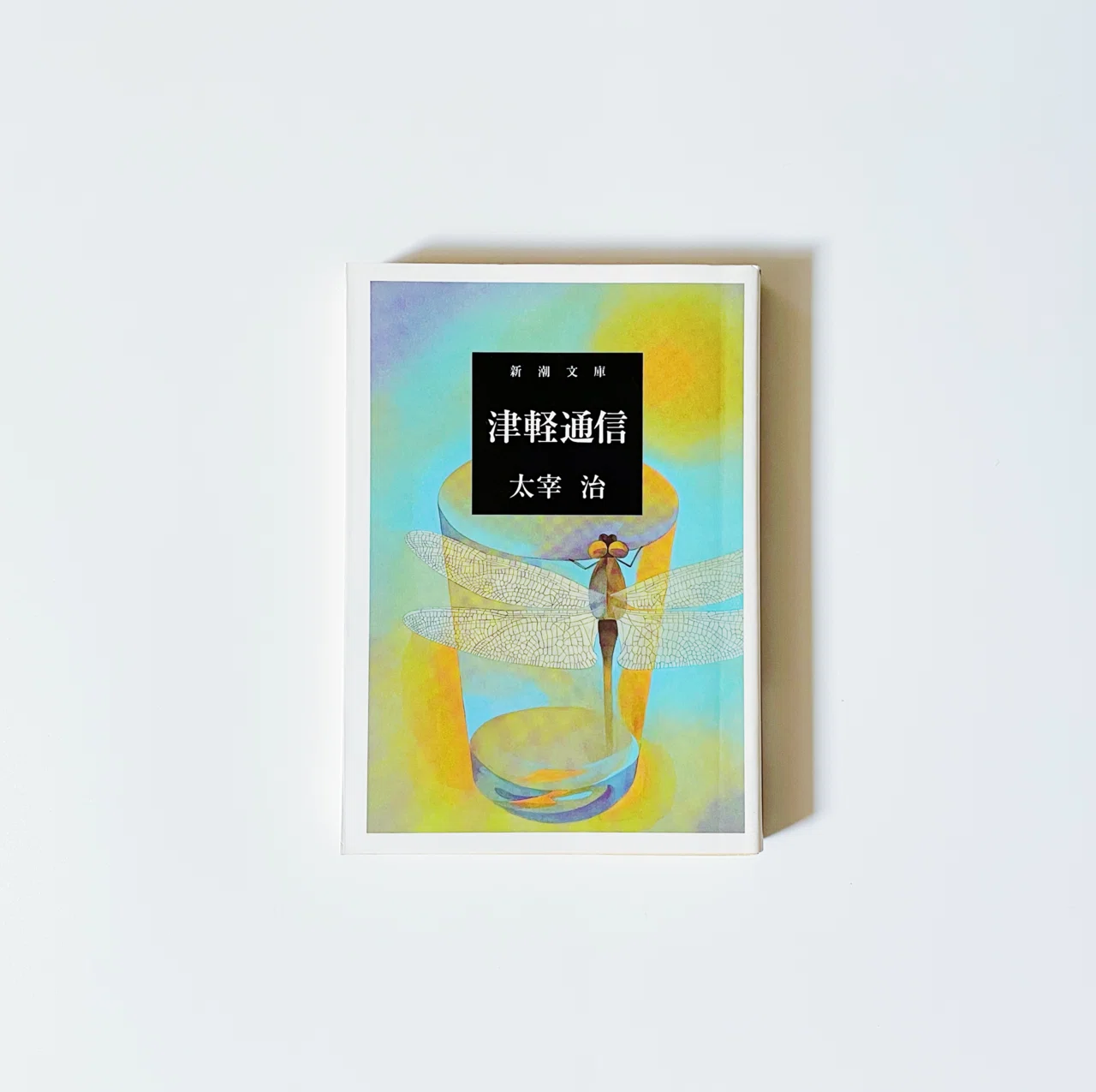 15 太宰治全部読む ｜戦地から還らぬすべての友に｜むささび