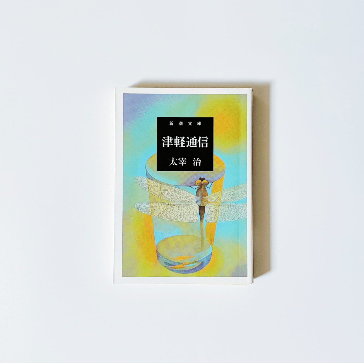 T-2182太宰治著 黄村先生言行録 昭和22年3月 初版本 希少 斜陽 初版 （昭和22年・元版・白表紙） / 太宰治 [36254][並