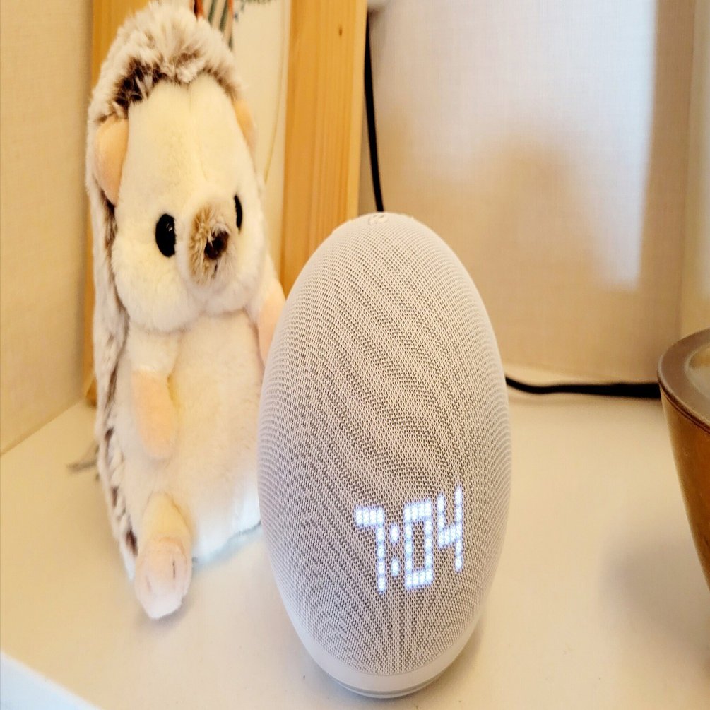 Amazon Echo Dot（エコードット）を買ってみた🎵｜Yukihiro🧸