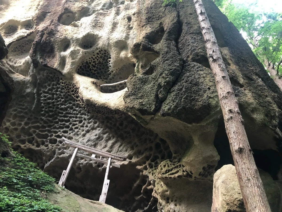 画像