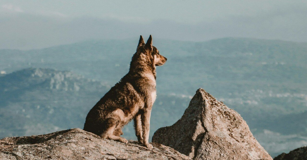 d512bd101c2aef9945cd03dfeacbcf