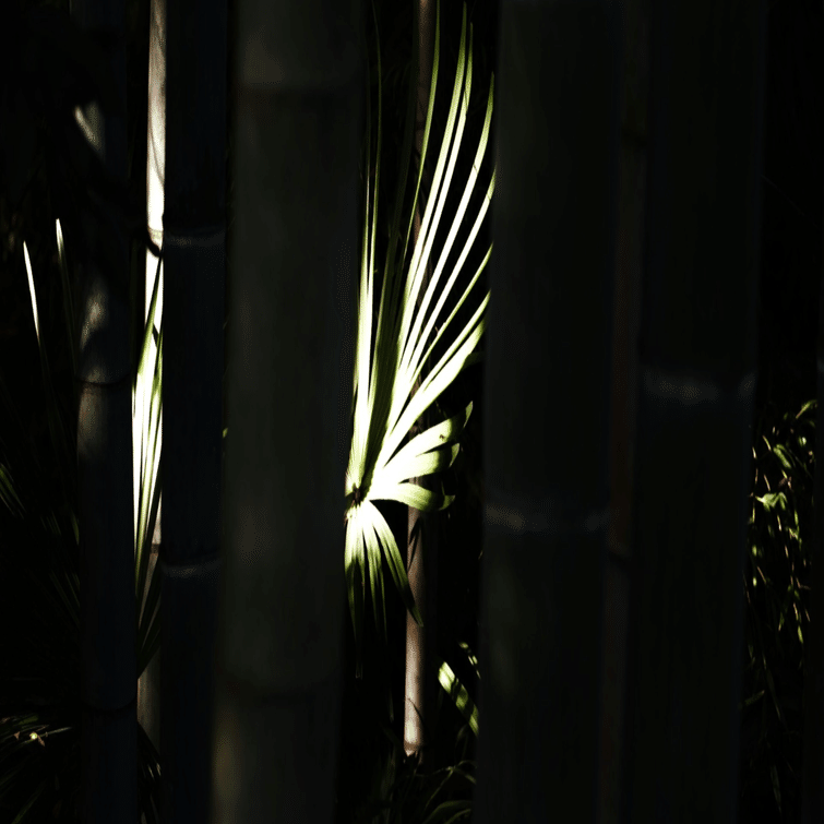 渋谷陽一郎『Q&A 家族信託大全』第1章から第4章｜sunao