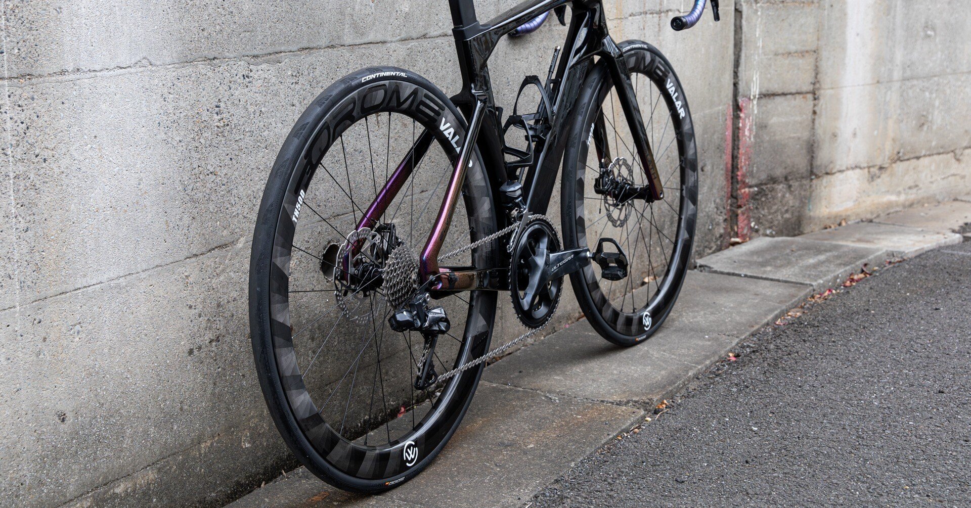 後編】ELVES Falath EVO【自宅バラ完】｜Aki Taaki