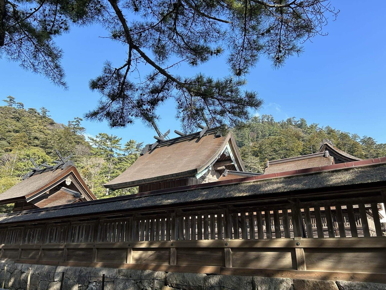 出雲大社のうさぎ像を見て、古事記を読み、神話を思い出す｜森村一樹