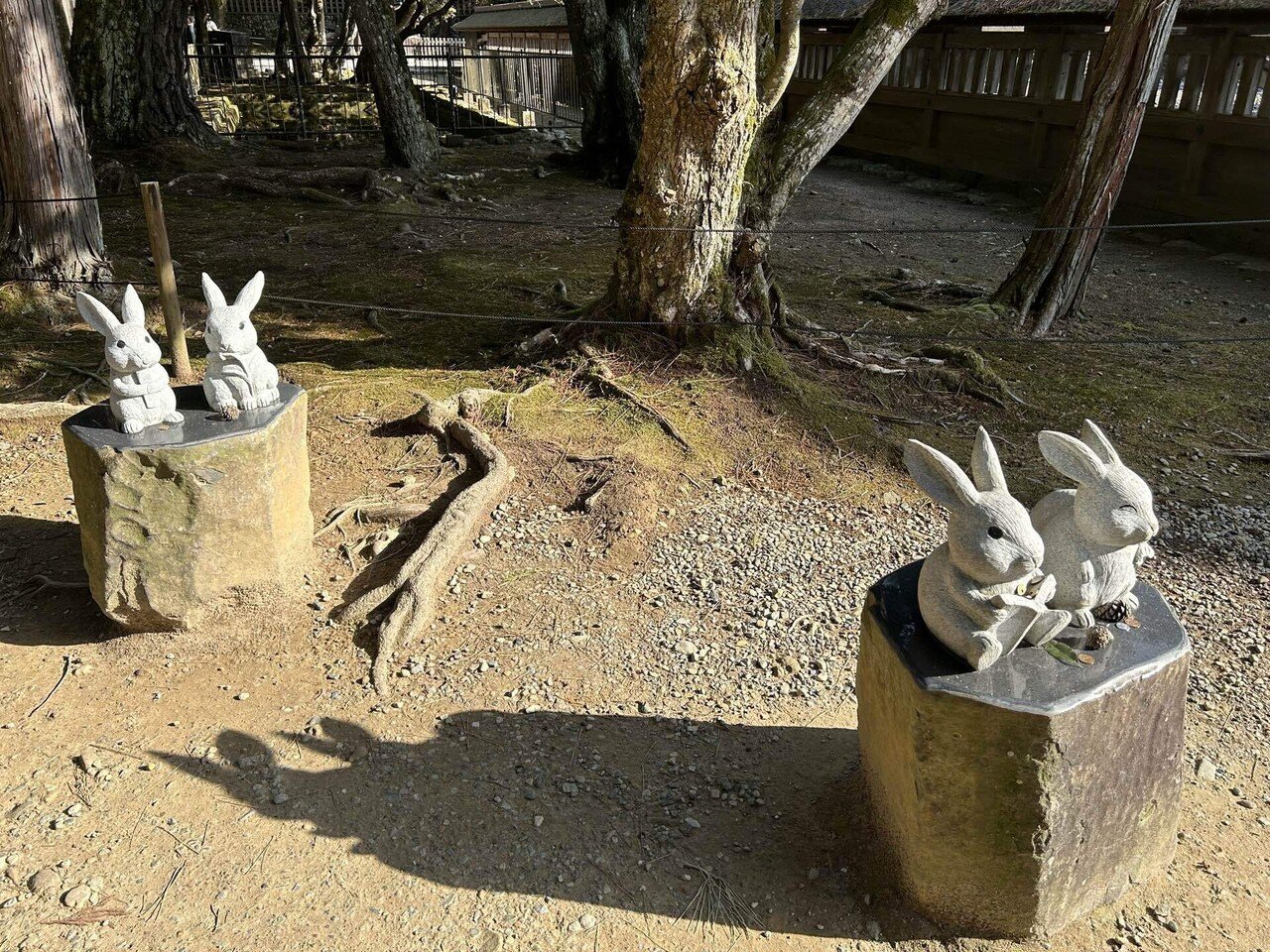 出雲大社のうさぎ像を見て、古事記を読み、神話を思い出す｜森村一樹