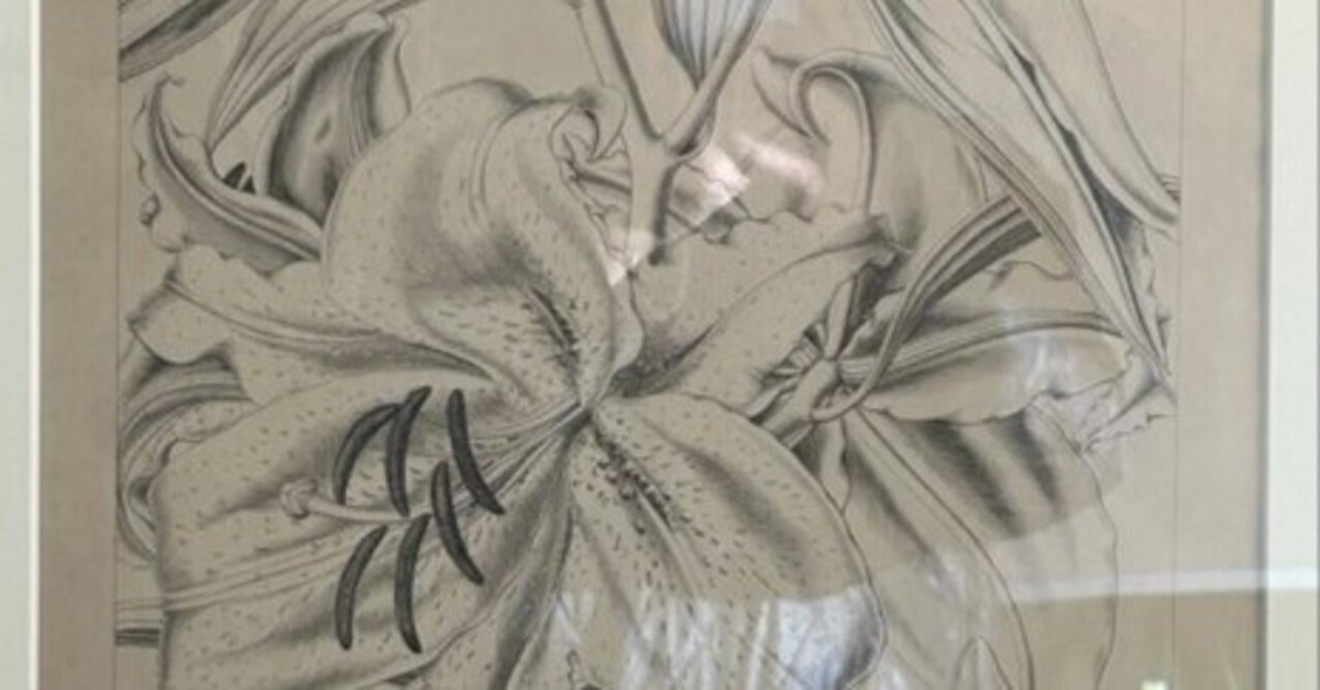 牧野富太郎の「植物画」に衝撃 植物愛が植物画から伝わる｜達磨の眼【本伝統文化を世界へ】