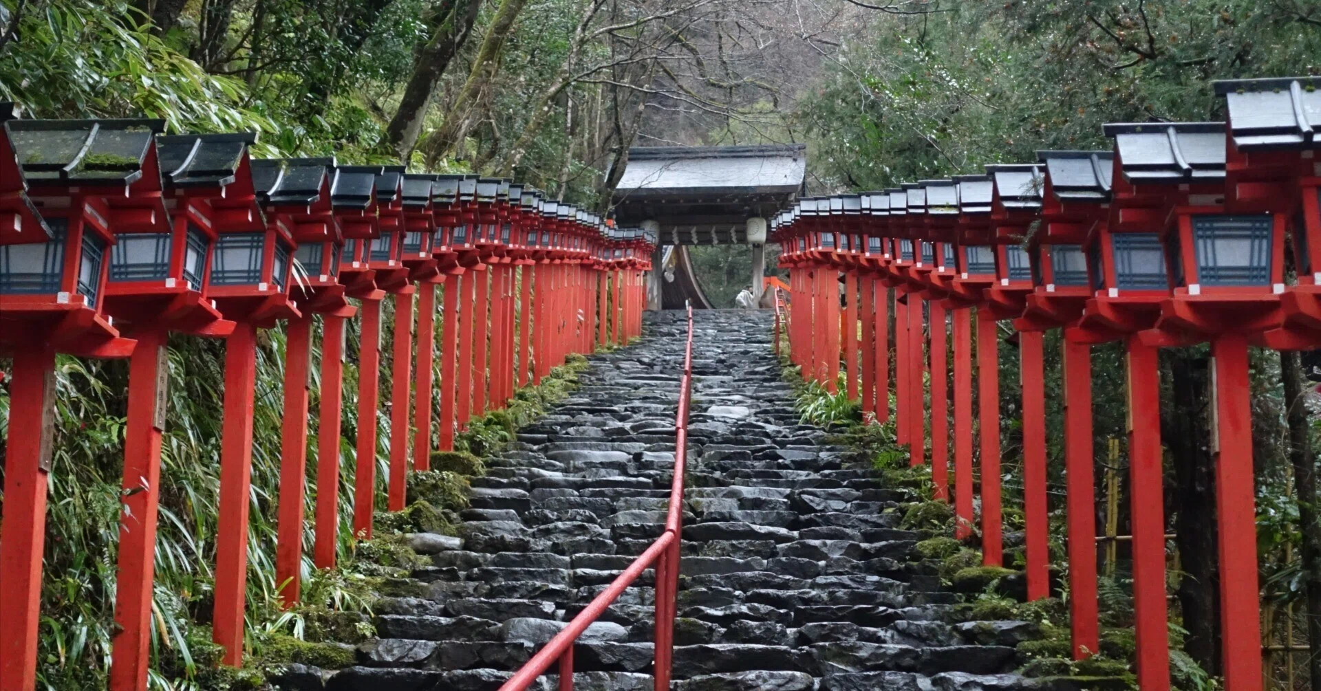 龍にゆかりの貴船神社を詣でる｜ひじき