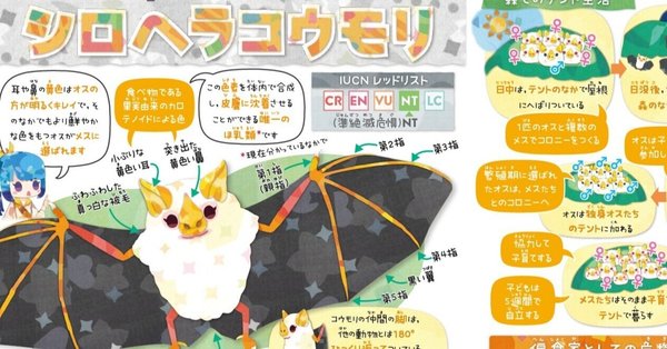 書籍「絶滅危機動物ファイル」発売!!｜キクチミロ