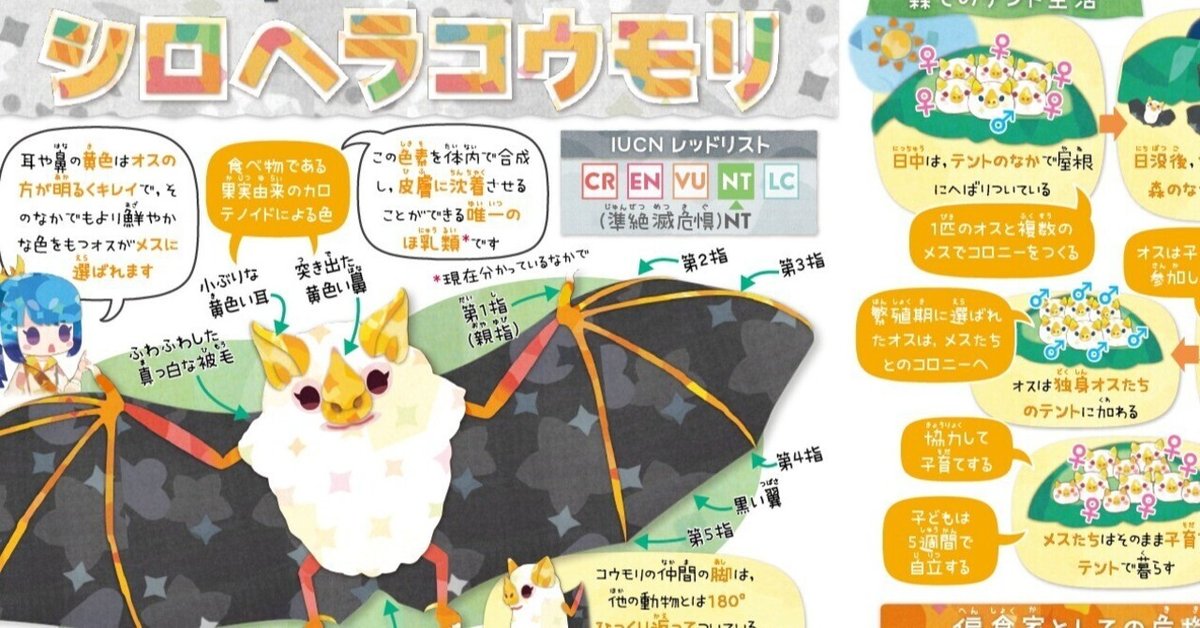 妖精猫さん（コウモリバージョン）
