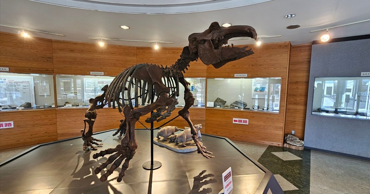 全国自然博物館の旅【23】おがの化石館｜美原さつき