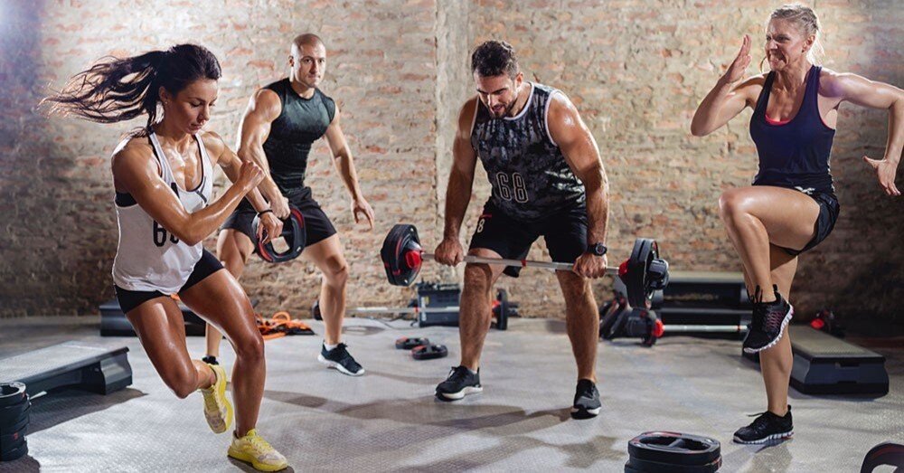 97204cc0fd8ba1ea93c19b02c8fd01