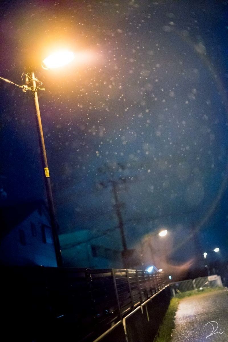 雨の日を撮る うさだだぬき Note 雨の日を撮る うさだだぬき Note