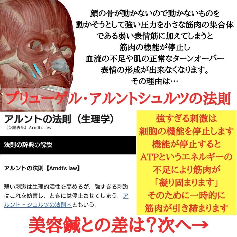 小顔矯正やコルギが医学的根拠に基づくと危険な理由 Bodyremaker Note
