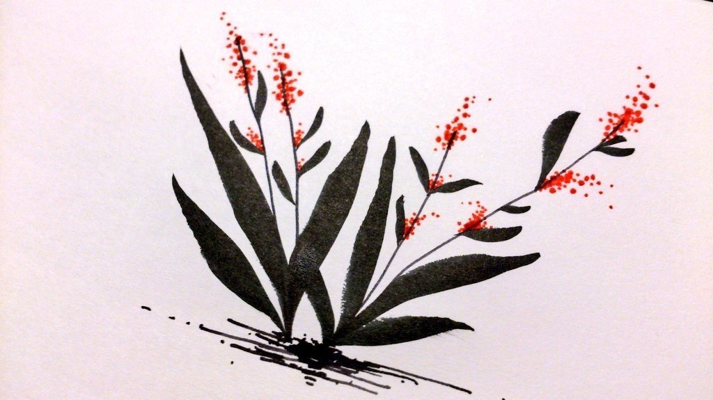 赤まんま きいち Note