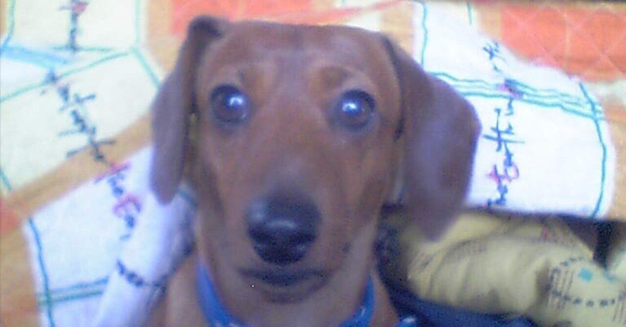 弘前大学 医学部学士編入 成績開示 2021年＆2022年実施試験 & 面接内容