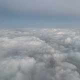 消費の海を泳ぐ