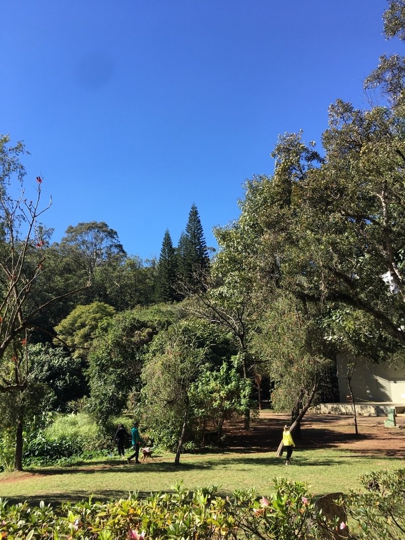 冬の到来とボサノバ Kikko Yy Note