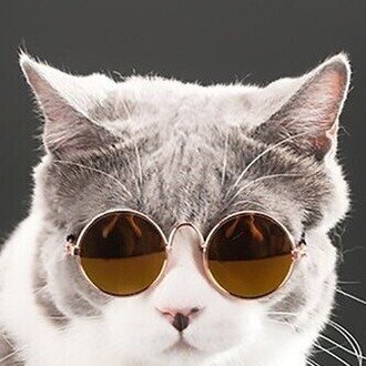 危険思想研究所