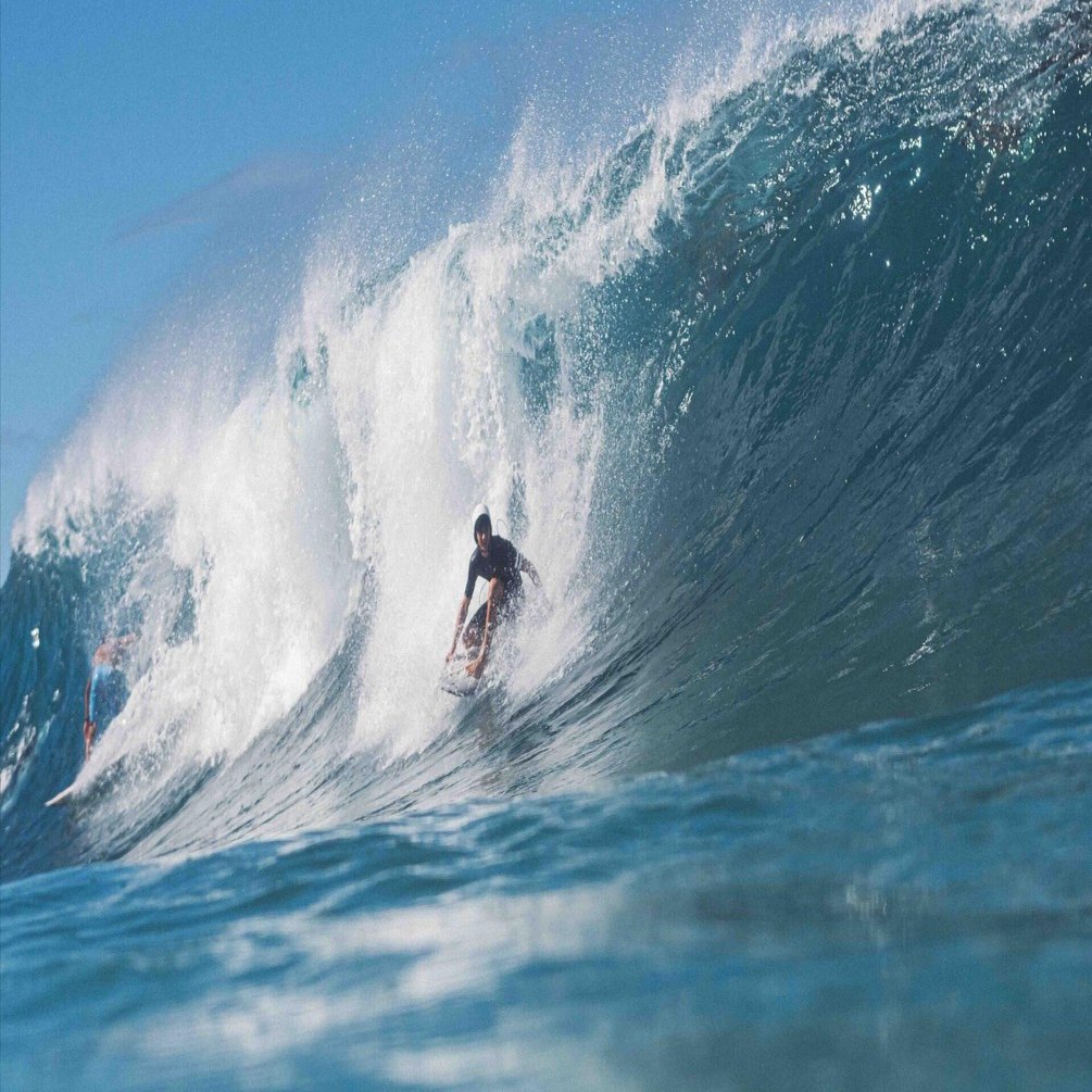 美しさと凶暴さが表裏一体の世界｜ニシカワユウト