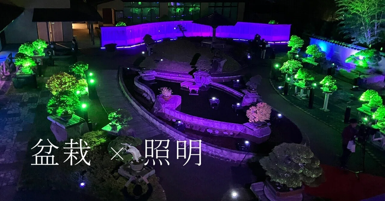 盆栽×宇宙ライトアップでインバウンド客を増やせ！｜URAGAWA Knowledge 