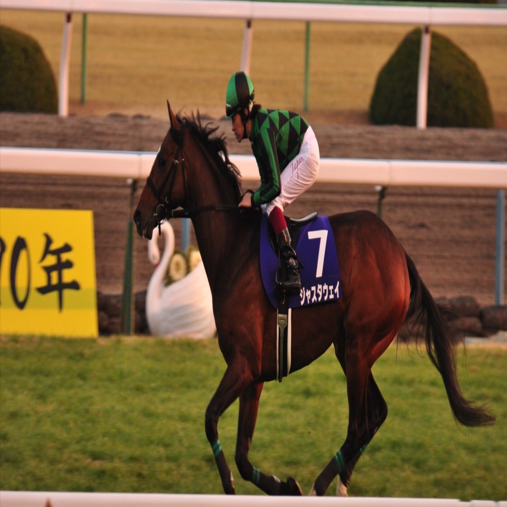 イクイノックスがジャパンカップで135ポンドを獲得！日本歴代
